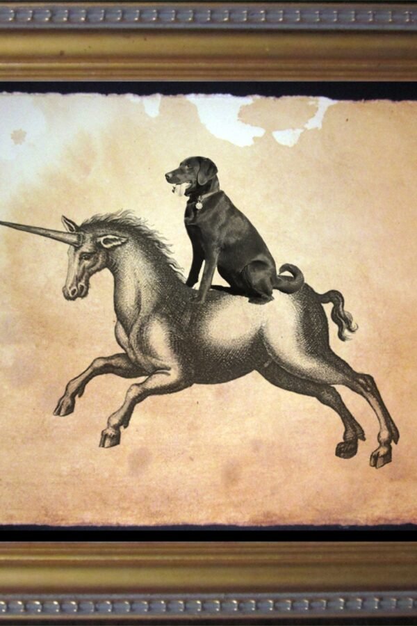 Labrador Retriever Chocolate Lab Riding Unicorn Vintage Collage Art Print On Tea Stained Paper Dog Art S Wfh Office