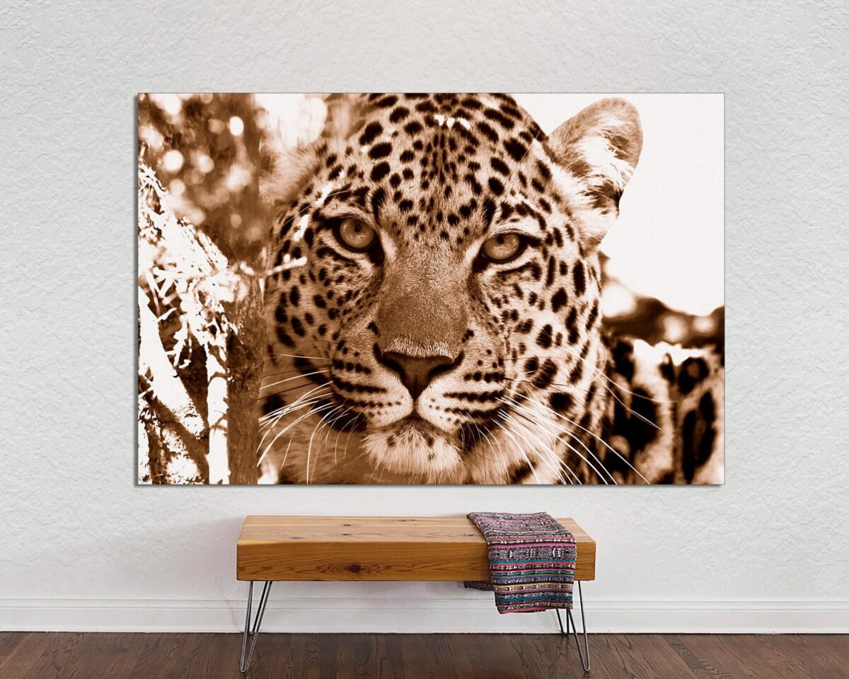 Leopard Canvas Print, Wall Art, Large Big Cats Poster, Great Art Gift For New Home Or Office On Canvas Ready To Hang