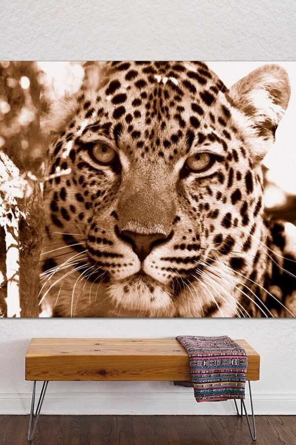 Leopard Canvas Print, Wall Art, Large Big Cats Poster, Great Art Gift For New Home Or Office On Canvas Ready To Hang