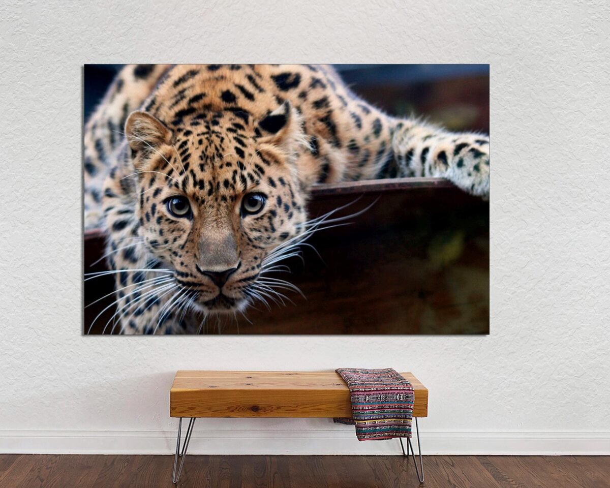 Leopard Canvas Print, Wall Art On Canvas, Large New Home Living Room Art, Office Animal Canvas Ready To Hang