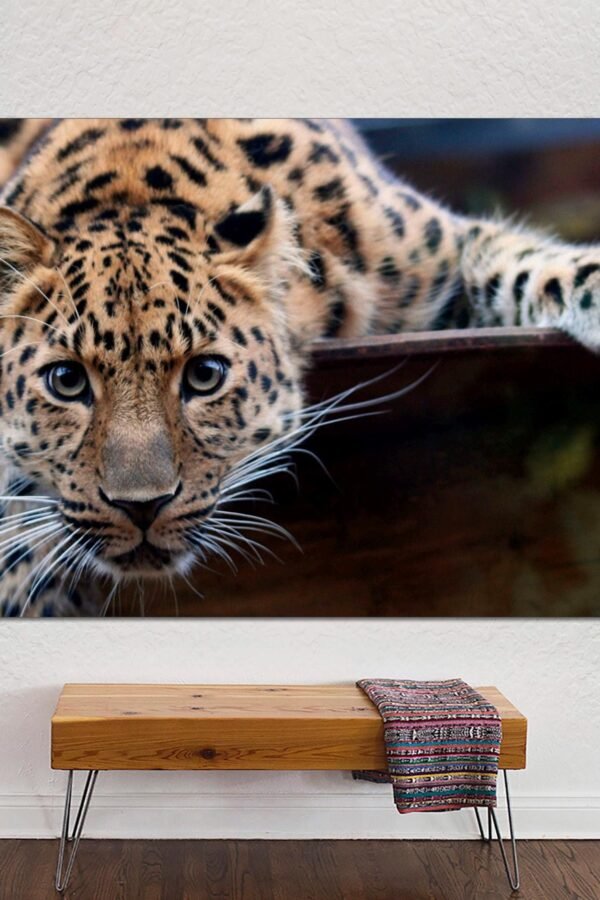 Leopard Canvas Print, Wall Art On Canvas, Large New Home Living Room Art, Office Animal Canvas Ready To Hang