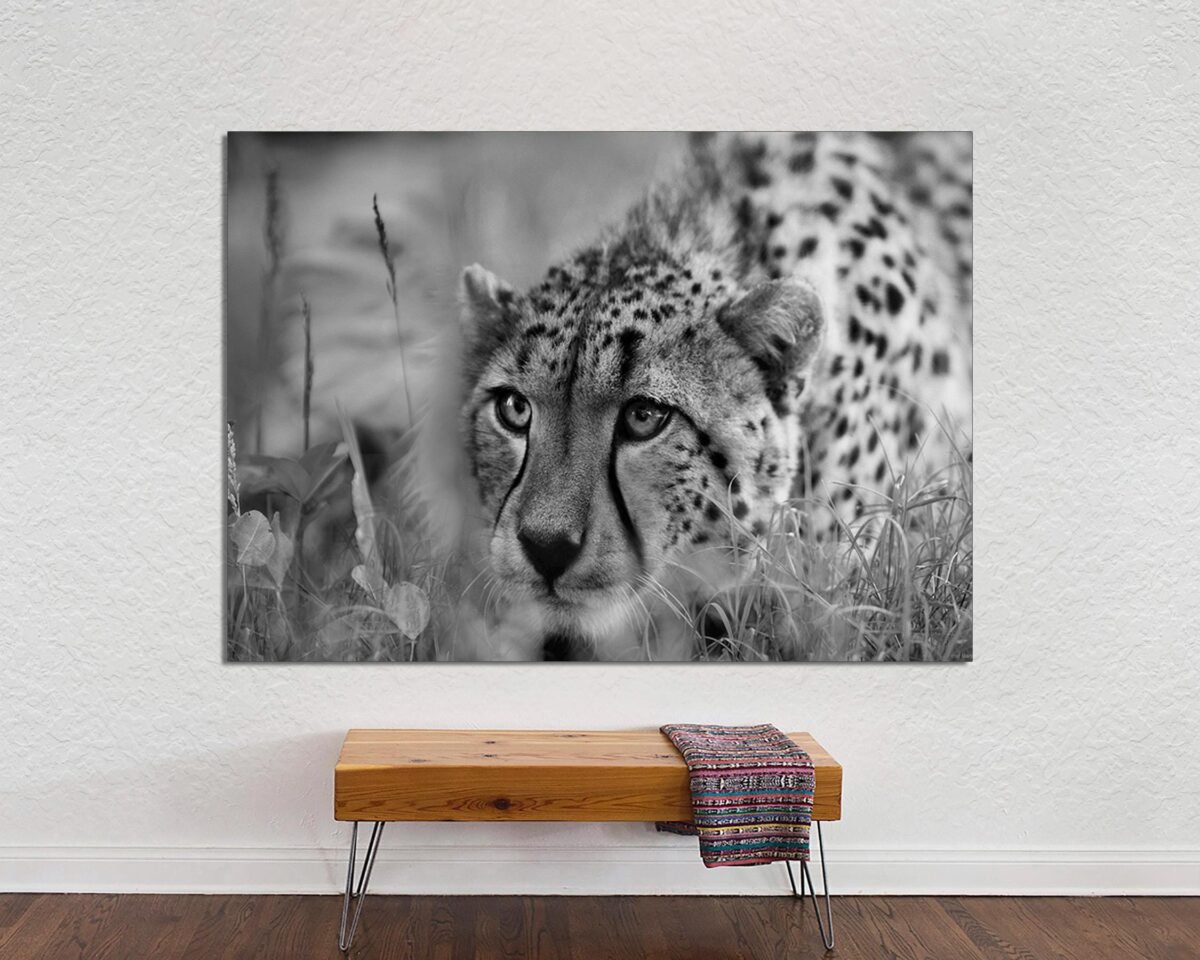 Leopard Wall Art, Print On Canvas, Black & White Animal Wall Great For New Home Office Decoration, Canvas Ready To Hang