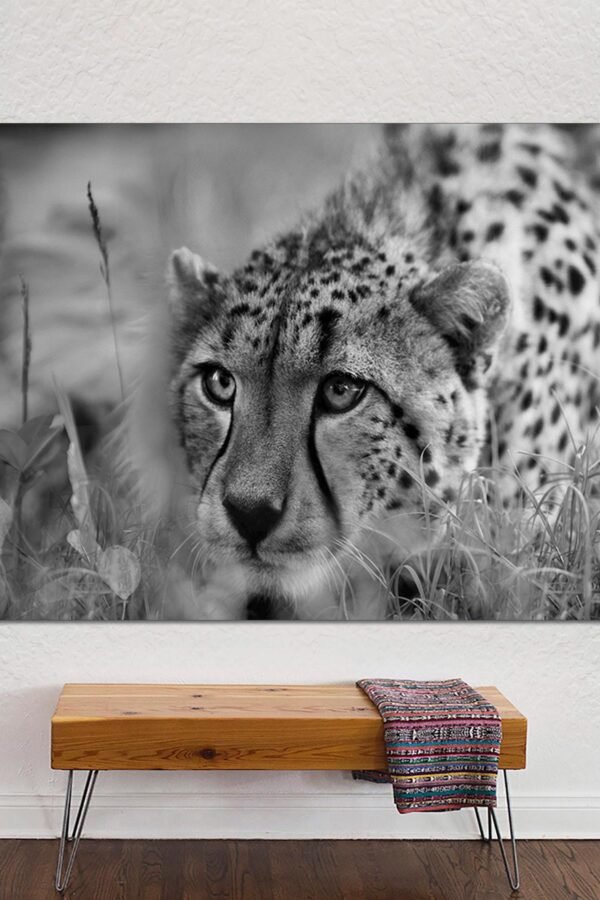 Leopard Wall Art, Print On Canvas, Black & White Animal Wall Great For New Home Office Decoration, Canvas Ready To Hang