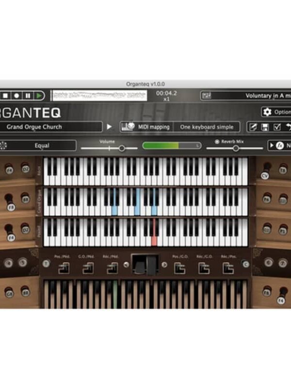 MODARTT Organteq 2