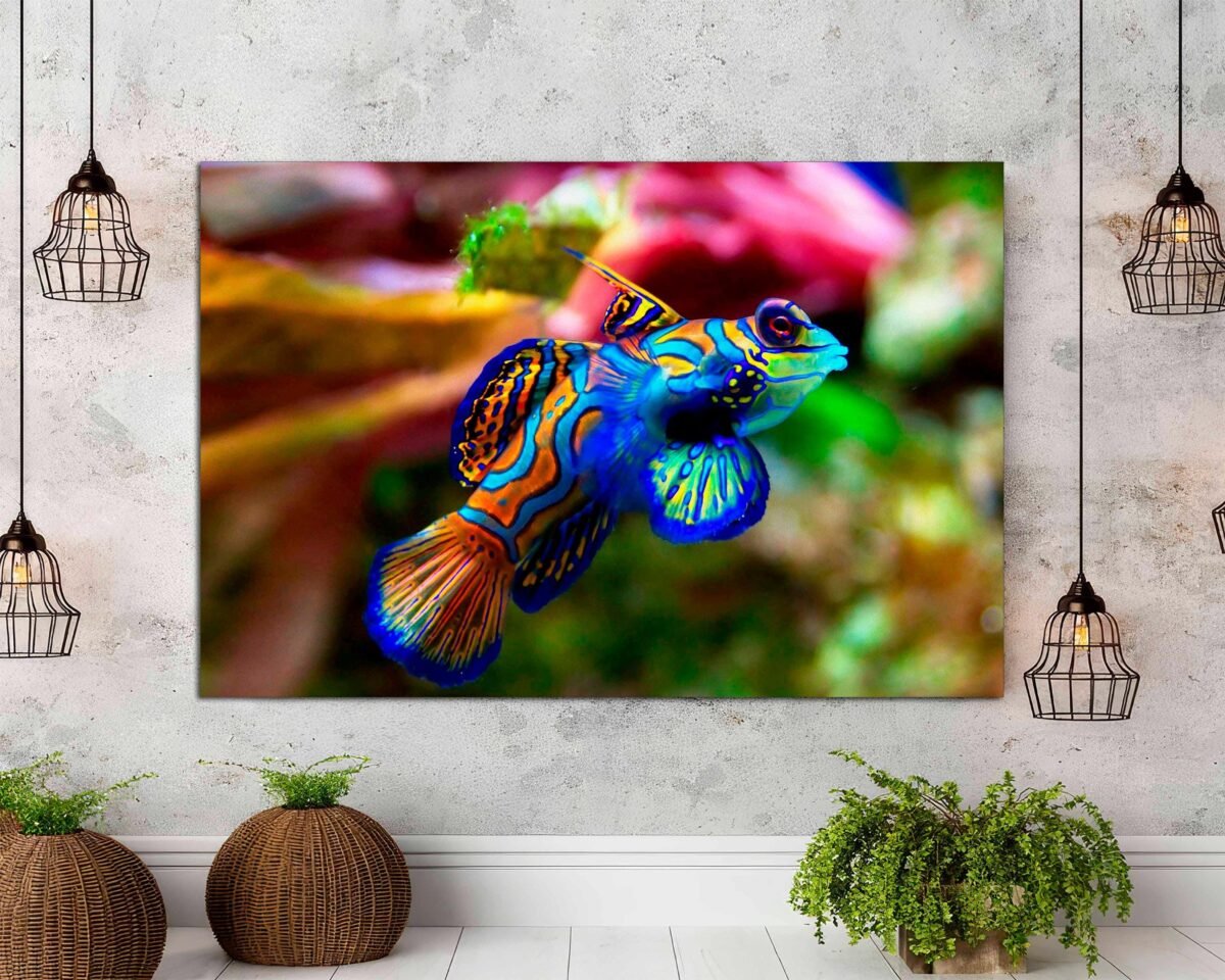 Mandarin Goby, Reef Aquarium Canvas Wall Art For Coral & Fish Lovers, Colorful Beautiful Art, Room Decor, Canvas Ready To Hang