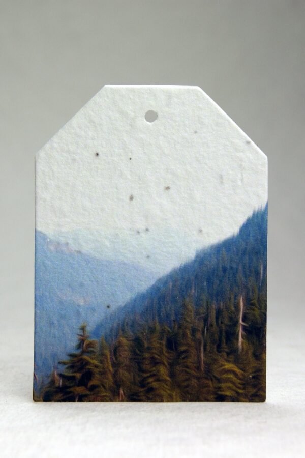 Mountain View 2.5" Wide By 3.375" Tall Wildflower Seed Handmade Paper For Weddings Or Events Set Of 8
