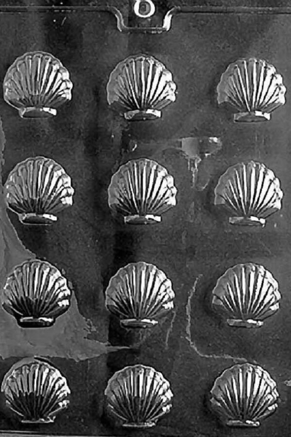 N001 Small Sea Shell Chocolate Candy Soap Mold