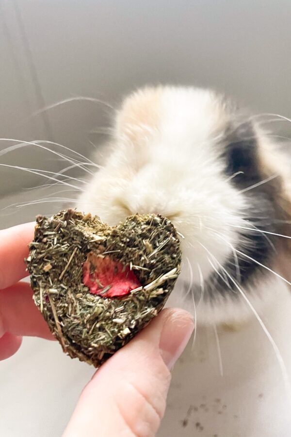 Oat-Free Hay Hearts Bunny Organic Treats, Pet Gift, Guinea Pig, Rabbit Treats