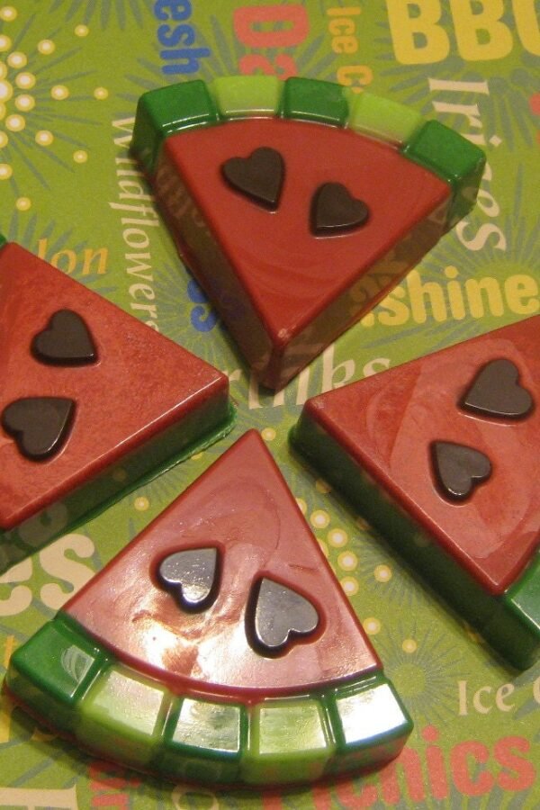 One Dozen Watermelon Slice Look Chocolate Covered Sandwich Cookies