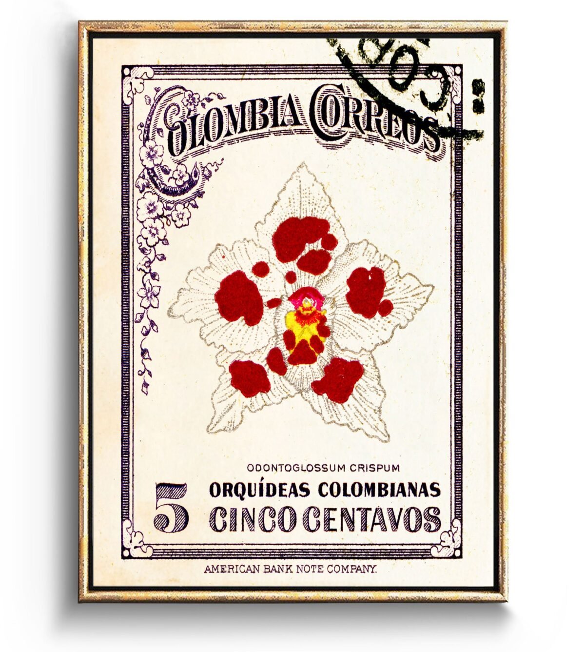 Orchid Print & Botanical Art Print, Floral Poster Affiche Botanique Of Colombian Latin Tropical For Boho Wall Decor