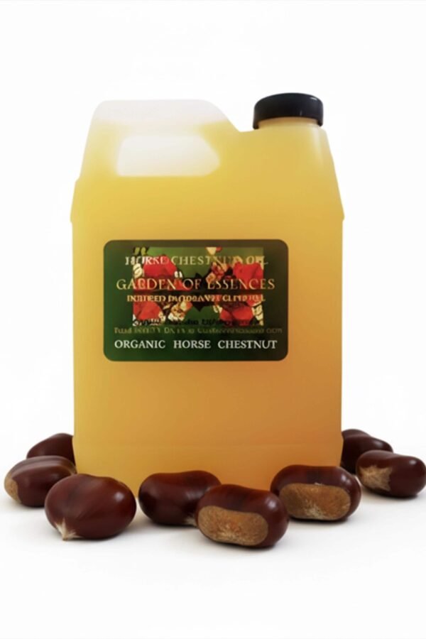 Organic Horse Chestnut Oil For Uncomfortable Legs, Leg Tension, Tired Spider Skin, Massage Muscle Gardenofessences