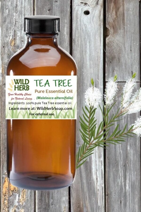 Organic Tea Tree Distiller Direct Essential Oil | Melaleuca Pure Therapeutic Aromatherapy Grade Wholesale Pricing |Bulk Sizes Wild Herb