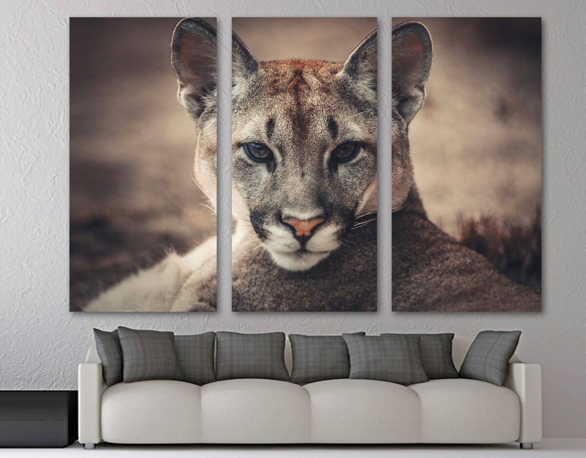 Puma Canvas Print Wall Art - Wildlife Photography Print, Cougar Animal Art, Giclee Home Art Decor, Wall Interior Design