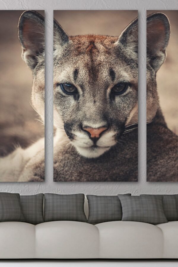 Puma Canvas Print Wall Art - Wildlife Photography Print, Cougar Animal Art, Giclee Home Art Decor, Wall Interior Design