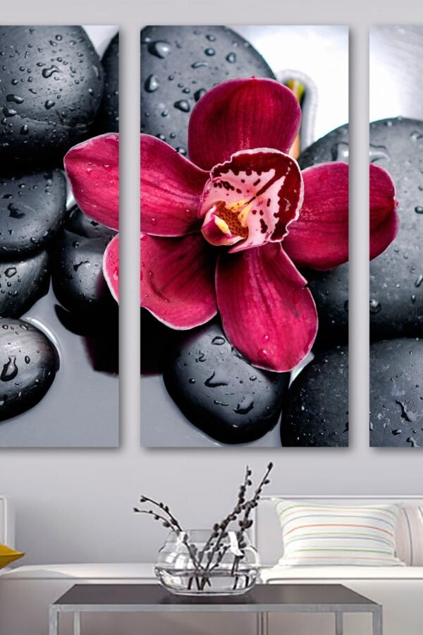 Red Orchid Flower & Spa Decor Wall Art Canvas Print. Zen For Spa. Botanical Therapy Stones - Giclee Office Decor, Interior Design