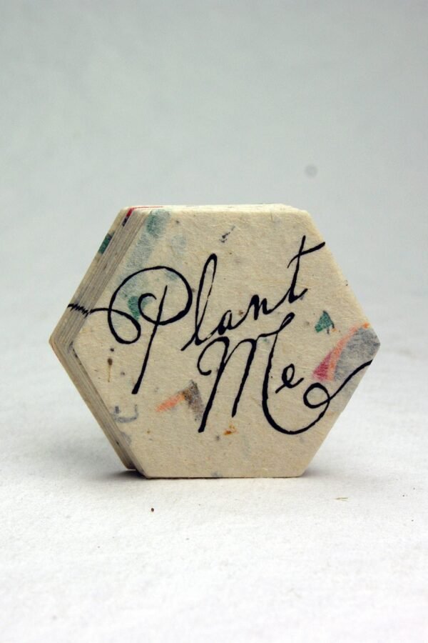 Seed Paper Hexagons Wildflower Recycled Junk Mail #47S 2 Inch Shapes For Weddings Or Events Set Of 24 Plant Me