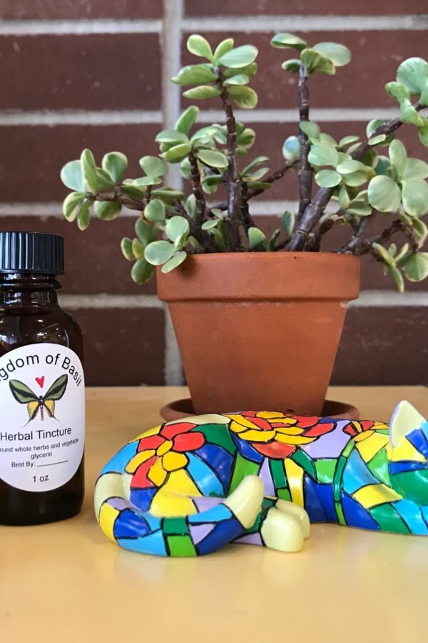 Si Miao San Tincture | Four Marvels