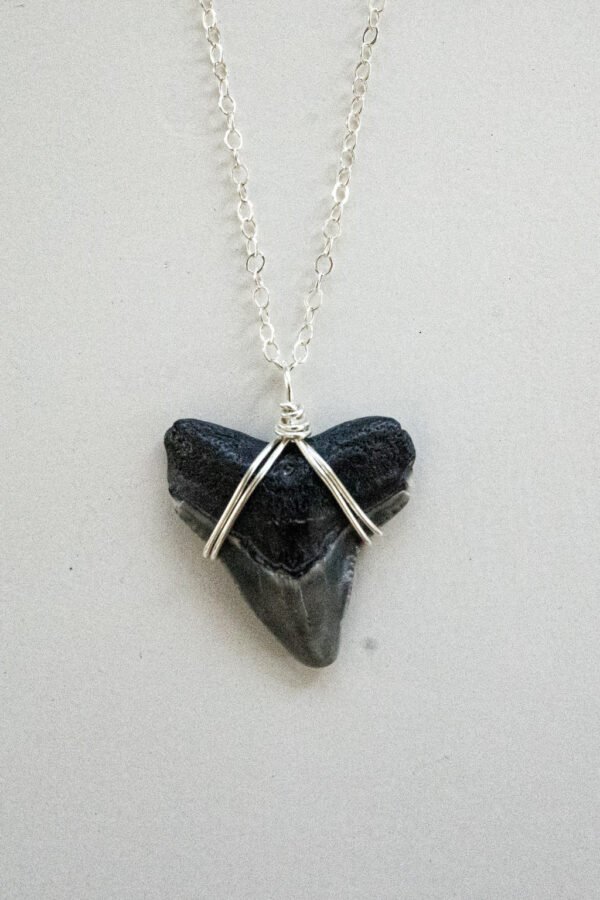 Silver Wrapped Shark Tooth Necklace
