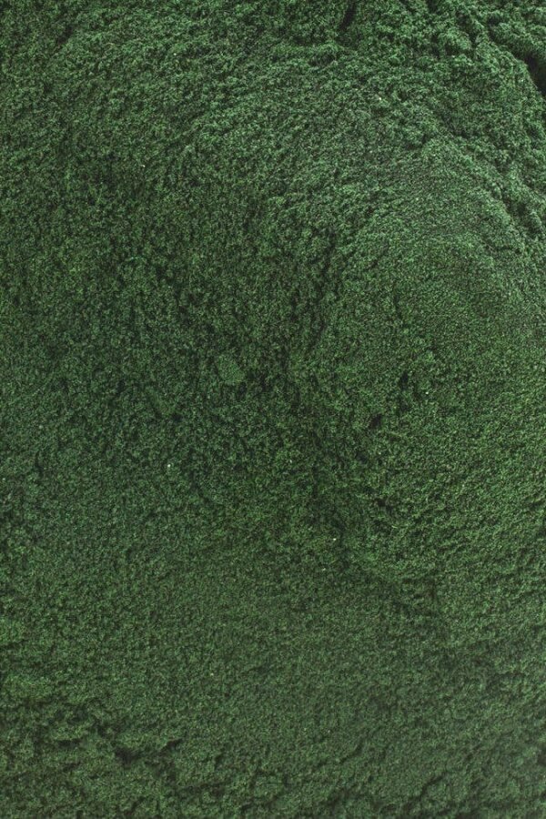 Spirulina Powder. Non-Irradiated, Organic & Non-Gmo