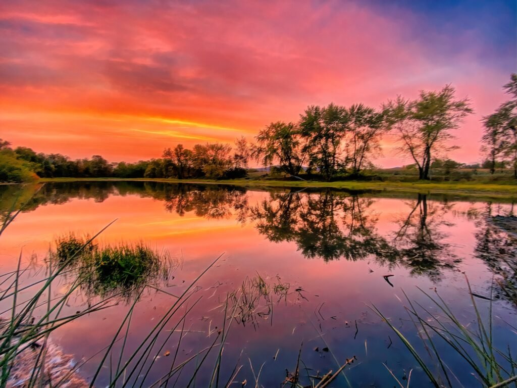 Sunset Reflecting in A White Mountains Pond - New Hampshire | Nh National Forest Canvas, Framed, Print Or Metal