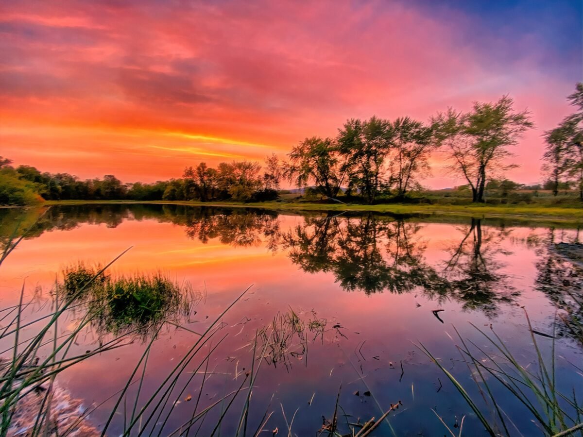Sunset Reflecting in A White Mountains Pond - New Hampshire | Nh National Forest Canvas, Framed, Print Or Metal