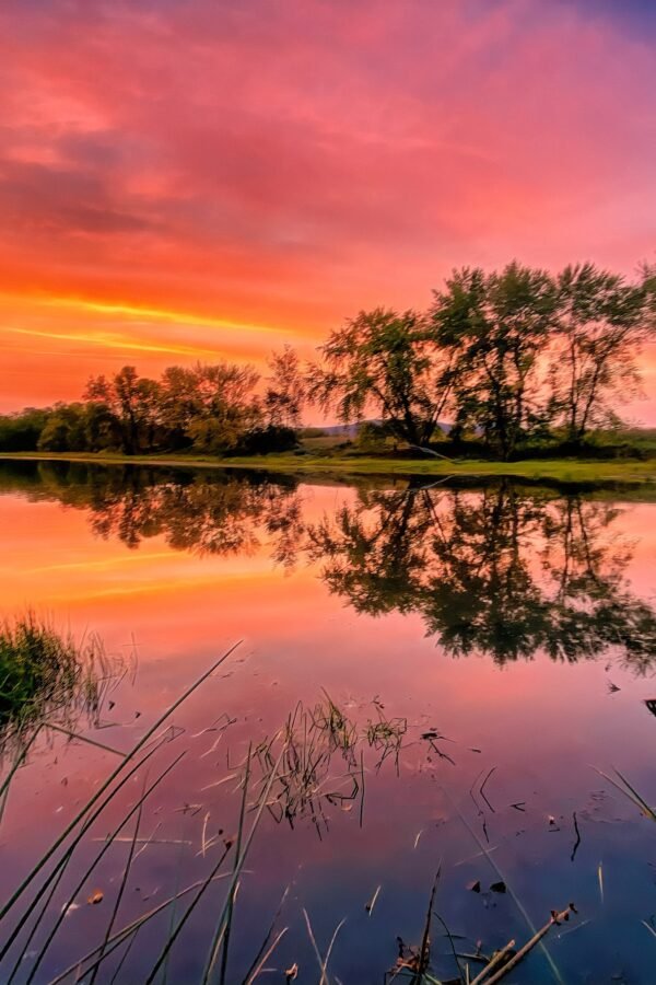 Sunset Reflecting in A White Mountains Pond - New Hampshire | Nh National Forest Canvas, Framed, Print Or Metal