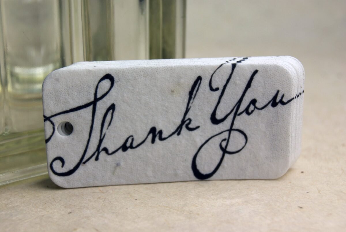 Thank You Gift Tag Set Of 10 Seed Paper Hangtags 3" Long By 1.5" Wide