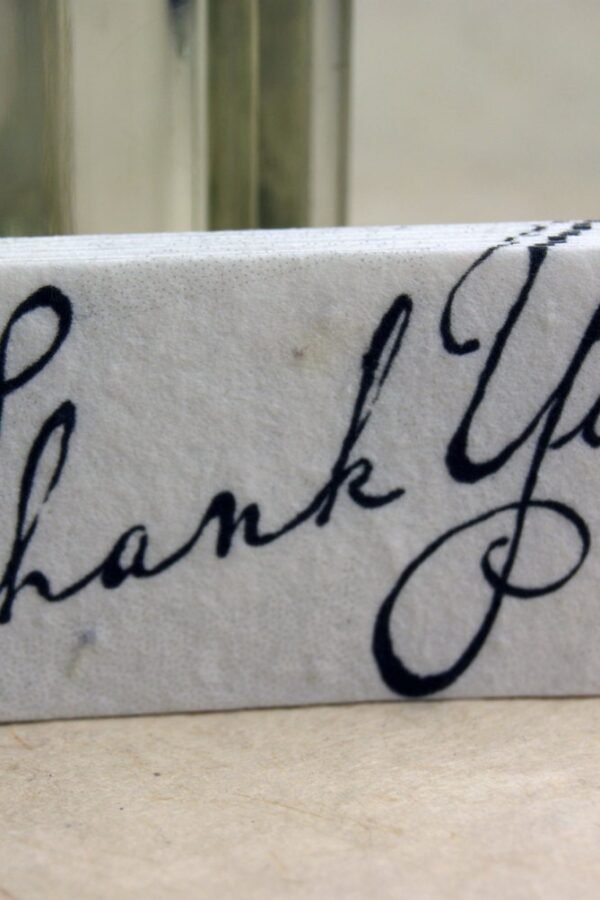 Thank You Gift Tag Set Of 10 Seed Paper Hangtags 3" Long By 1.5" Wide