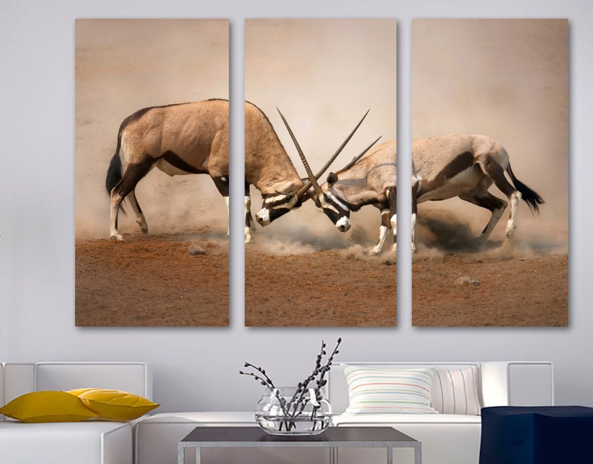 Two Male Gemsbok Fight Antelope Canvas Print Wall Art. Wildlife Animal Print, Gazelles - Giclee Home Art Decor, Wall Interior Design