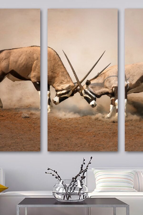 Two Male Gemsbok Fight Antelope Canvas Print Wall Art. Wildlife Animal Print, Gazelles - Giclee Home Art Decor, Wall Interior Design