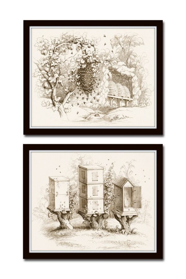Vintage Bee Hives Print Set No. 5, Sepia Illustration, Bees Hive, Collage, Beekeeping Print, Giclee, Art, Set, Prints