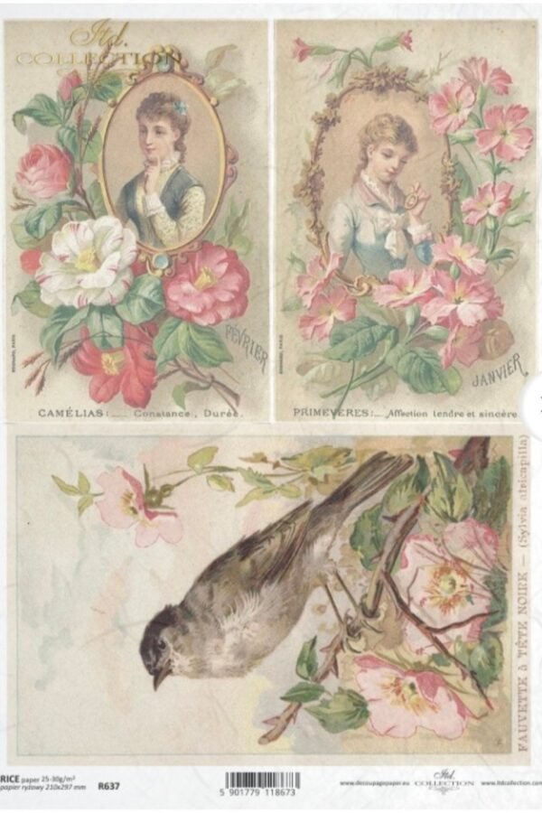 Vintage Bird Rice Paper For Decoupage Floral Collage | A4 Sheet