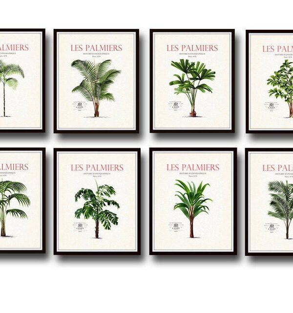 Vintage French Palm Tree Print Set No. 1, Giclee, Art Prints, Coastal Art, Botanical Beach House