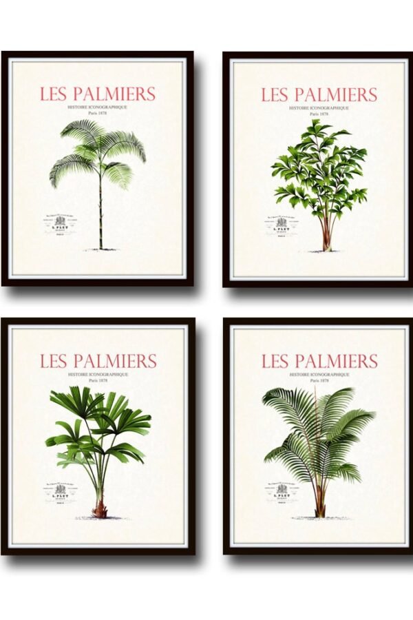Vintage French Palm Tree Print Set No. 2, Giclee, Art Prints, Beach Decor, Coastal Botanical Set, Collage