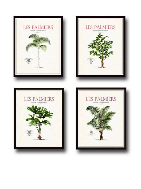 Vintage French Palm Tree Print Set No. 2, Giclee, Art Prints, Decor, Beach Coastal Art, Botanical