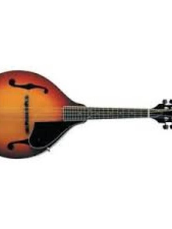 Washburn M1 Mandolin Pak