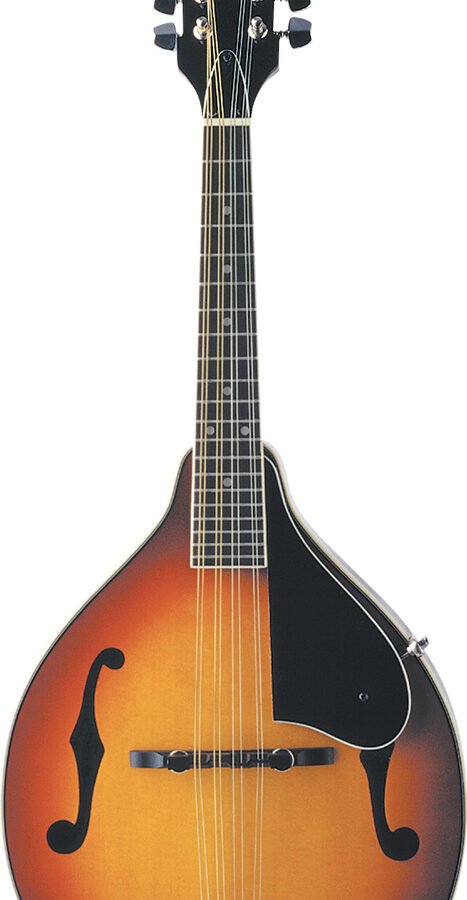 Washburn M1K Acoustic Mandolin