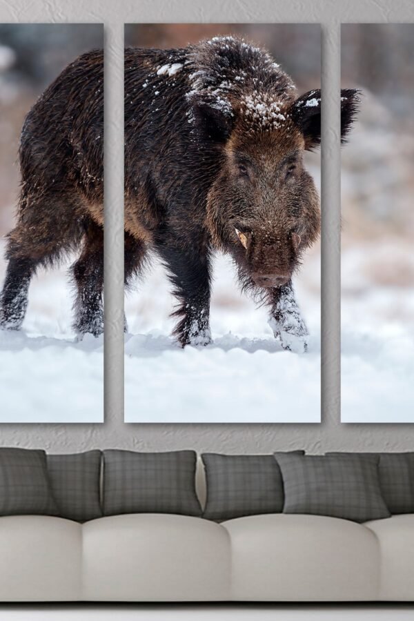 Wild Boar, Hog Wall Art Canvas Print. Wildlife Photography, Animal Print -Giclee Home Art Decor, Wall Interior Design
