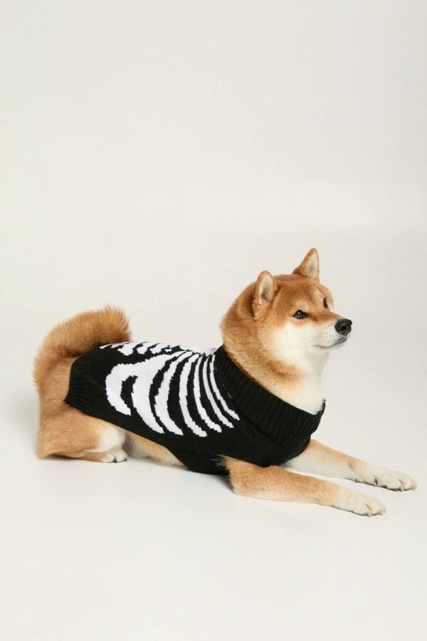 Womens Halloween Skeleton Knitted Dog Sweater - Black - S