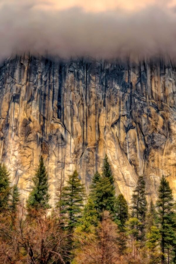 Yosemite El Capitan in A Cloudy Winter Day | California Rock Cap Nature Yosemite National Parks Canvas/Metal Print