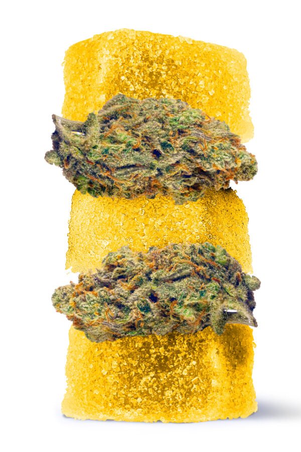 50mg Delta 8 + Live Resin Gummies - Super Lemon Haze - Sativa (1500mg)