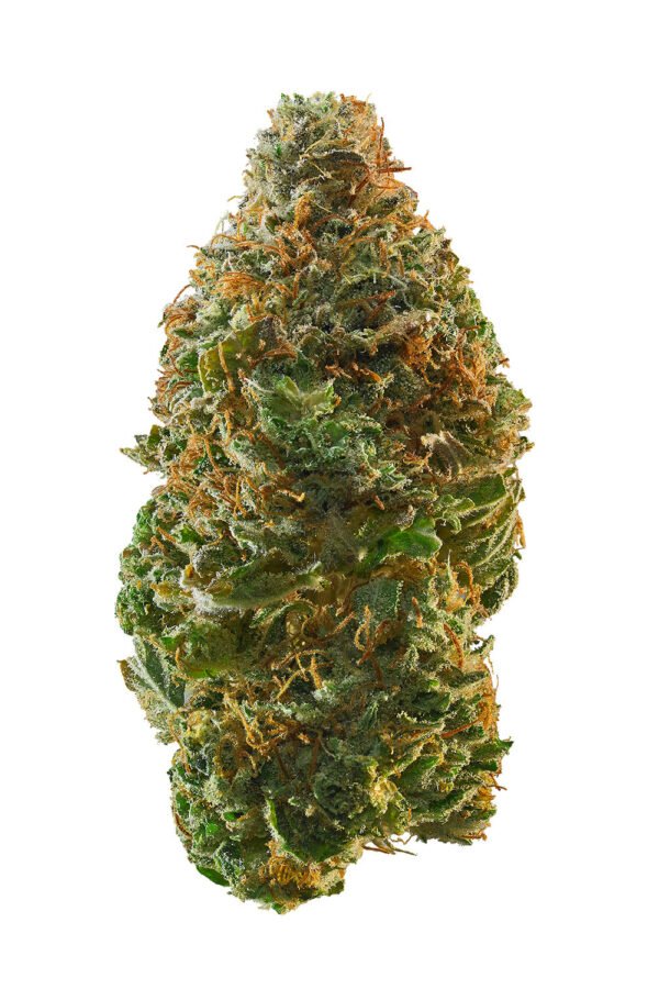 Garlic Cocktail Flower - THCA - Indica
