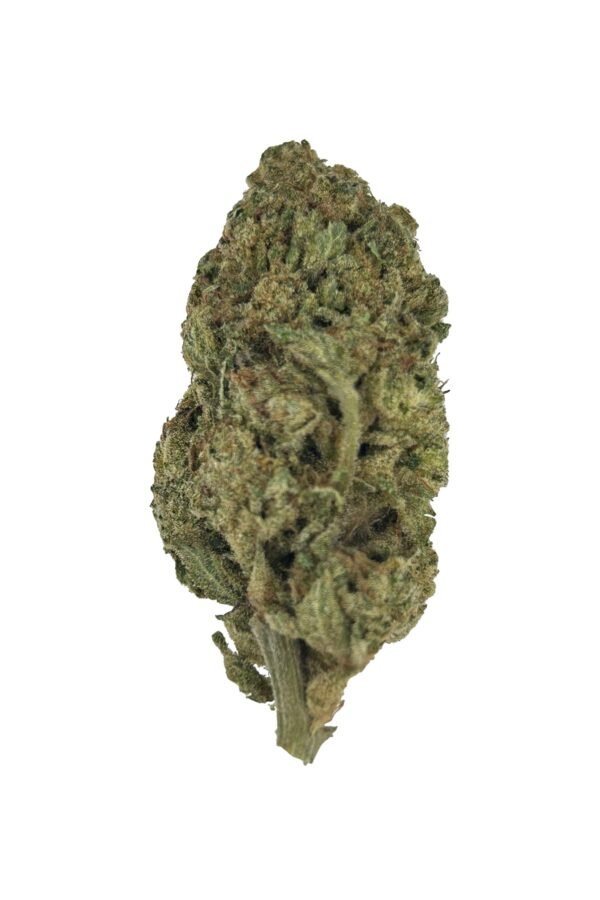 Pink Candy Flower - THCA - Sativa