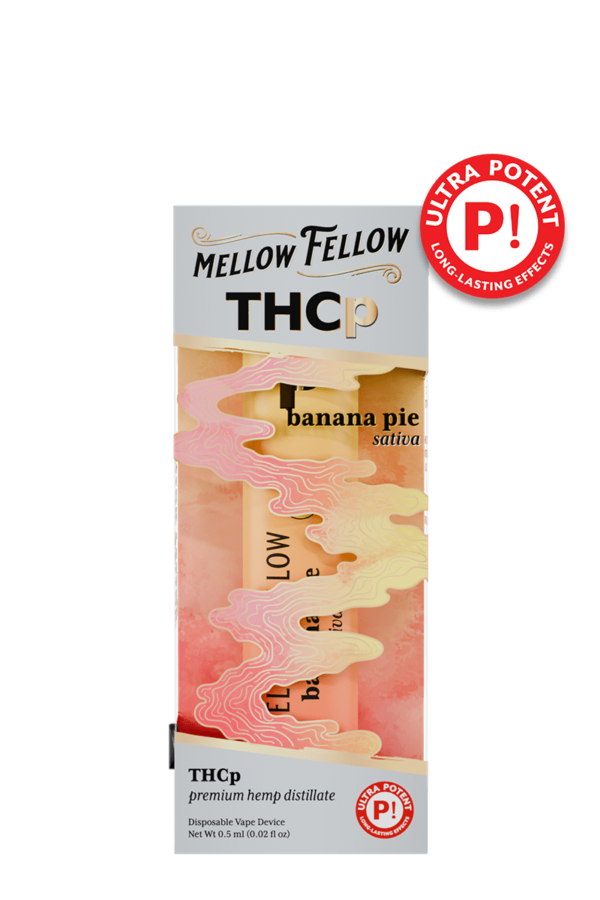 THCp 0.5g Disposable Vape - Banana Pie (Sativa)