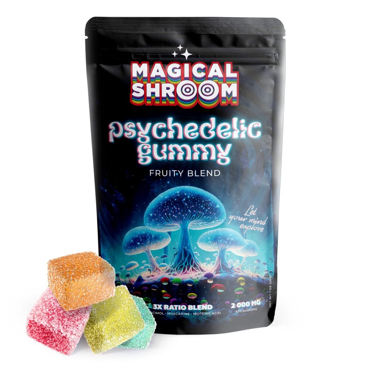 500mg Mushroom Blend Gummies - Fruity Blend - Magical Shroom (2000mg)