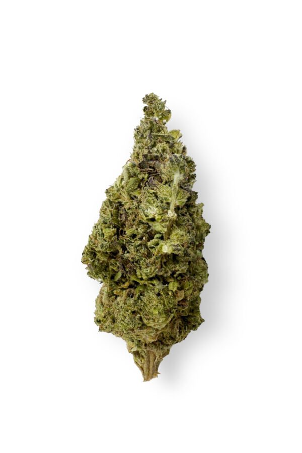 Lemon Bean Flower - THCA - Sativa