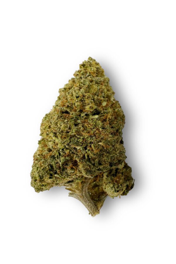 Master Kush Flower - THCA - Indica