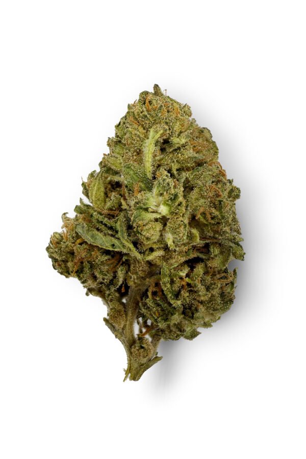 Red Congolese Flower - THCA - Sativa